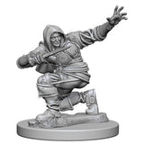 Deep Cuts Unpainted: Human Male Rogue