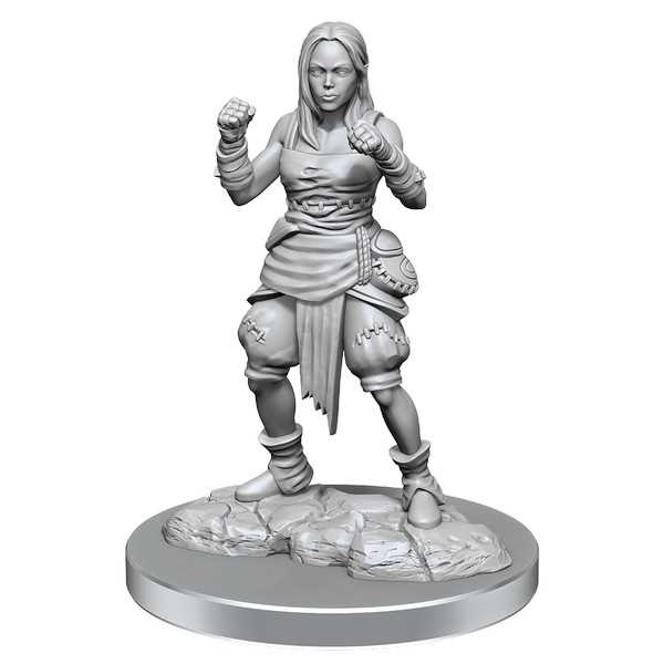 Pathfinder Deep Cuts: Half-Elf Monk Female