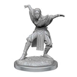 Pathfinder Deep Cuts: Half-Elf Monk Female